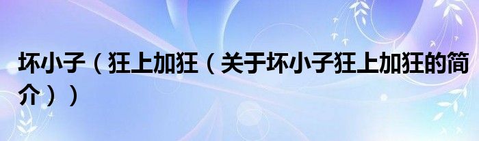 壞小子（狂上加狂（關(guān)于壞小子狂上加狂的簡介））