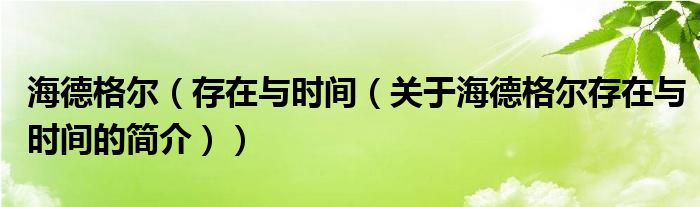 海德格爾（存在與時間（關(guān)于海德格爾存在與時間的簡介））