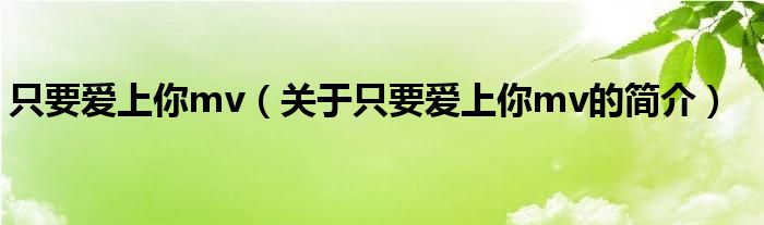 只要愛(ài)上你mv（關(guān)于只要愛(ài)上你mv的簡(jiǎn)介）