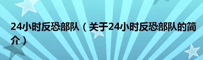 24小時反恐部隊（關于24小時反恐部隊的簡介）