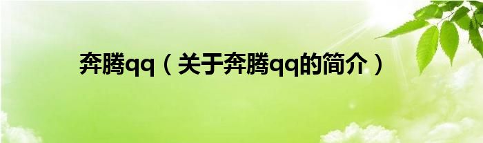 奔騰qq（關(guān)于奔騰qq的簡(jiǎn)介）