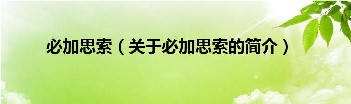 必加思索（關(guān)于必加思索的簡介）