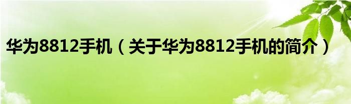 華為8812手機(jī)（關(guān)于華為8812手機(jī)的簡(jiǎn)介）