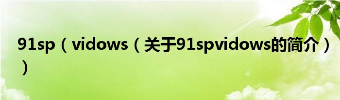 91sp（vidows（關(guān)于91spvidows的簡介））