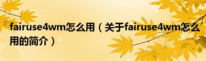 fairuse4wm怎么用（關(guān)于fairuse4wm怎么用的簡(jiǎn)介）