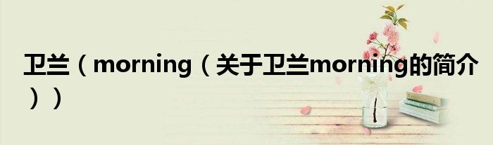 衛(wèi)蘭（morning（關于衛(wèi)蘭morning的簡介））