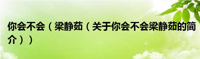 你會(huì)不會(huì)（梁靜茹（關(guān)于你會(huì)不會(huì)梁靜茹的簡介））