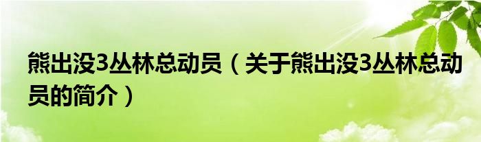 熊出沒3叢林總動員（關于熊出沒3叢林總動員的簡介）