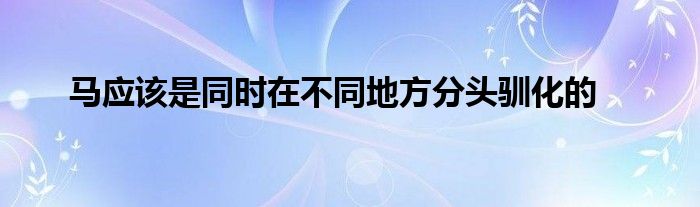 馬應(yīng)該是同時(shí)在不同地方分頭馴化的