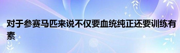 對(duì)于參賽馬匹來說不僅要血統(tǒng)純正還要訓(xùn)練有素