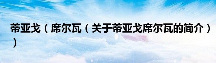 蒂亞戈（席爾瓦（關(guān)于蒂亞戈席爾瓦的簡(jiǎn)介））