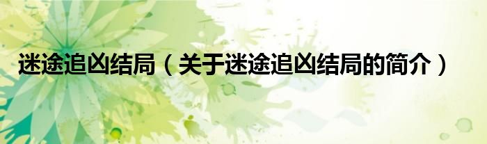 迷途追兇結(jié)局（關(guān)于迷途追兇結(jié)局的簡(jiǎn)介）