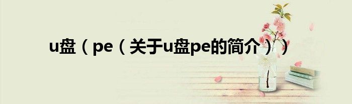 u盤（pe（關于u盤pe的簡介））