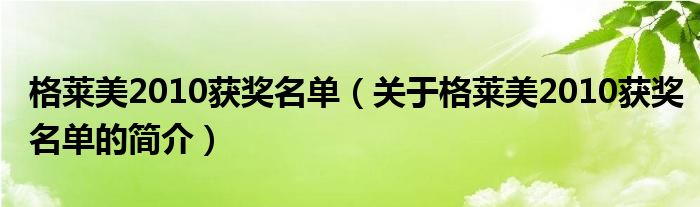 格萊美2010獲獎名單（關于格萊美2010獲獎名單的簡介）