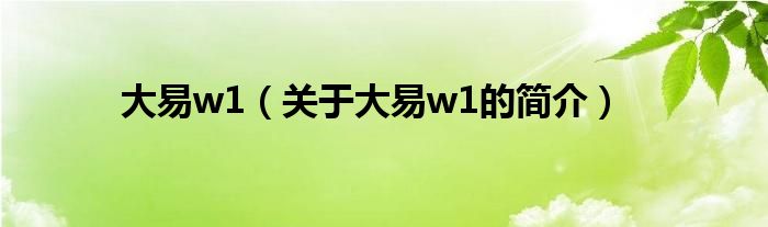 大易w1（關于大易w1的簡介）