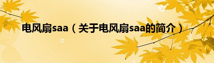 電風扇saa（關于電風扇saa的簡介）