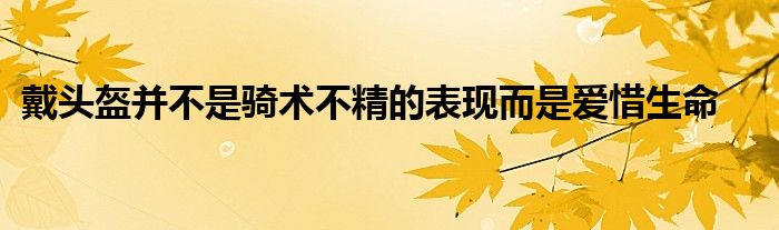 戴頭盔并不是騎術(shù)不精的表現(xiàn)而是愛(ài)惜生命