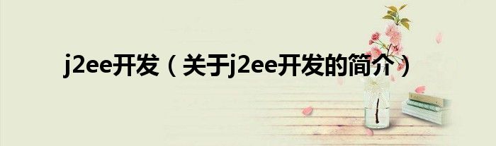 j2ee開發(fā)（關于j2ee開發(fā)的簡介）