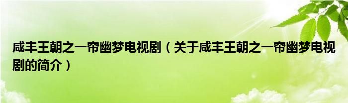 咸豐王朝之一簾幽夢電視?。P于咸豐王朝之一簾幽夢電視劇的簡介）