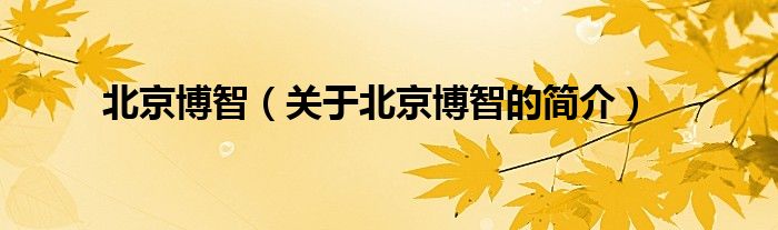 北京博智（關(guān)于北京博智的簡(jiǎn)介）