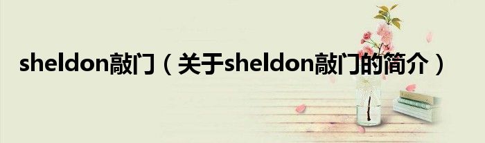 sheldon敲門（關(guān)于sheldon敲門的簡(jiǎn)介）