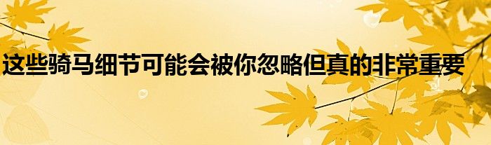 這些騎馬細(xì)節(jié)可能會被你忽略但真的非常重要