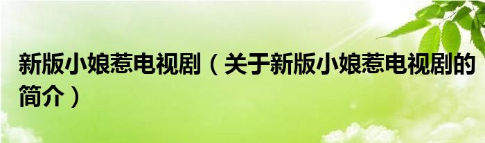 新版小娘惹電視劇（關(guān)于新版小娘惹電視劇的簡(jiǎn)介）