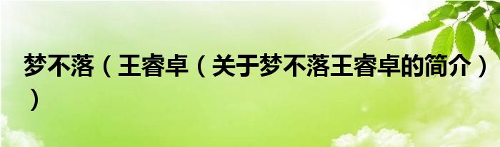 夢(mèng)不落（王睿卓（關(guān)于夢(mèng)不落王睿卓的簡(jiǎn)介））