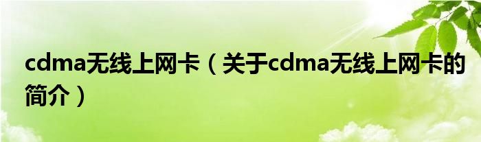 cdma無(wú)線上網(wǎng)卡（關(guān)于cdma無(wú)線上網(wǎng)卡的簡(jiǎn)介）