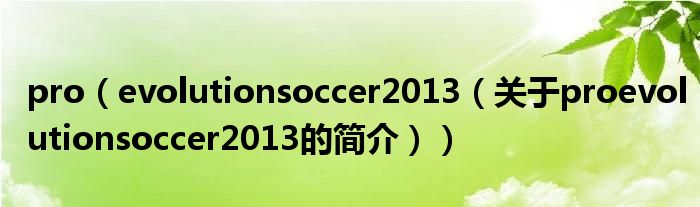 pro（evolutionsoccer2013（關(guān)于proevolutionsoccer2013的簡(jiǎn)介））