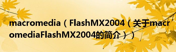 macromedia（FlashMX2004（關(guān)于macromediaFlashMX2004的簡(jiǎn)介））