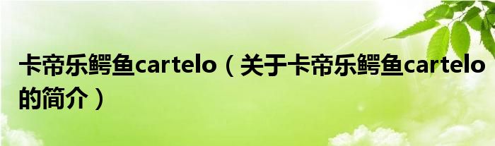 卡帝樂(lè)鱷魚(yú)cartelo（關(guān)于卡帝樂(lè)鱷魚(yú)cartelo的簡(jiǎn)介）