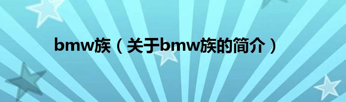 bmw族（關(guān)于bmw族的簡介）