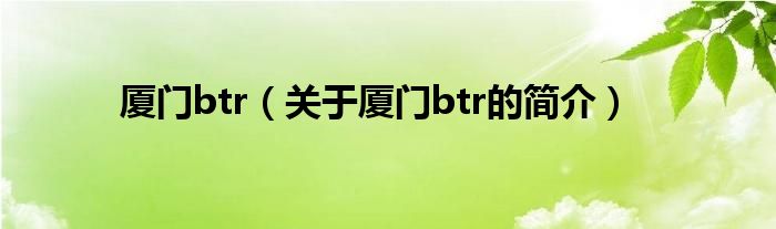 廈門btr（關(guān)于廈門btr的簡(jiǎn)介）