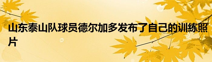 山東泰山隊球員德爾加多發(fā)布了自己的訓(xùn)練照片