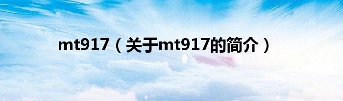 mt917（關(guān)于mt917的簡(jiǎn)介）