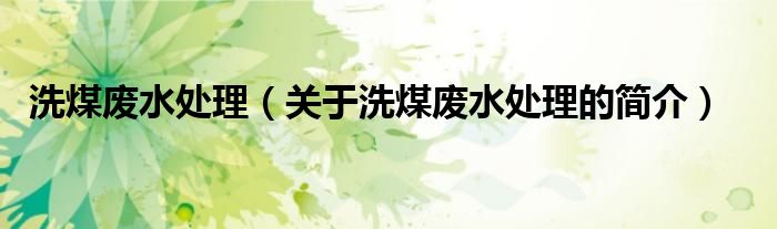 洗煤廢水處理（關(guān)于洗煤廢水處理的簡(jiǎn)介）