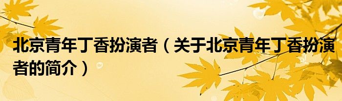 北京青年丁香扮演者（關(guān)于北京青年丁香扮演者的簡介）