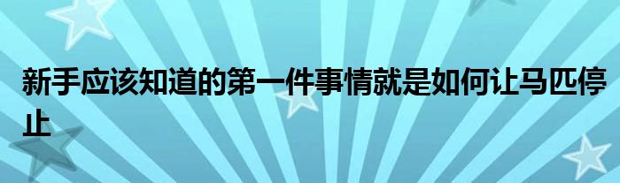 新手應該知道的第一件事情就是如何讓馬匹停止