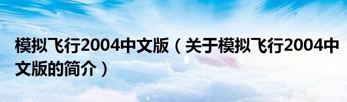 模擬飛行2004中文版（關于模擬飛行2004中文版的簡介）