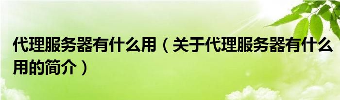 代理服務(wù)器有什么用（關(guān)于代理服務(wù)器有什么用的簡(jiǎn)介）