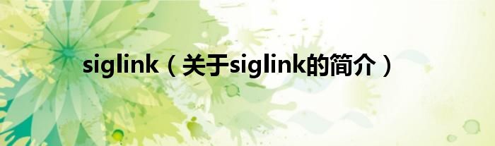 siglink（關于siglink的簡介）