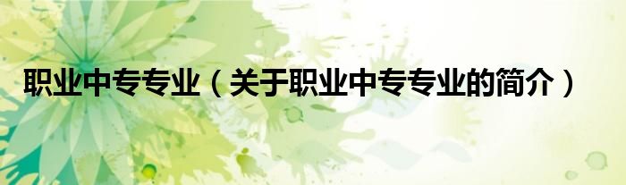 職業(yè)中專專業(yè)（關(guān)于職業(yè)中專專業(yè)的簡介）