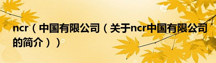 ncr（中國有限公司（關(guān)于ncr中國有限公司的簡介））