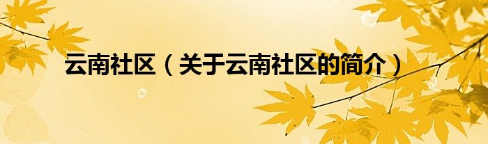 云南社區(qū)（關(guān)于云南社區(qū)的簡(jiǎn)介）