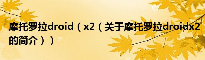 摩托羅拉droid（x2（關(guān)于摩托羅拉droidx2的簡(jiǎn)介））