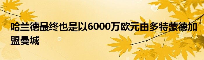 哈蘭德最終也是以6000萬(wàn)歐元由多特蒙德加盟曼城