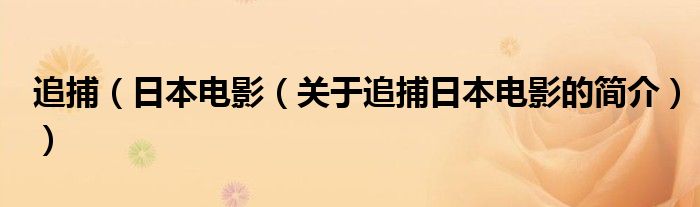 追捕（日本電影（關(guān)于追捕日本電影的簡介））