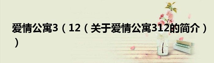 愛情公寓3（12（關(guān)于愛情公寓312的簡介））