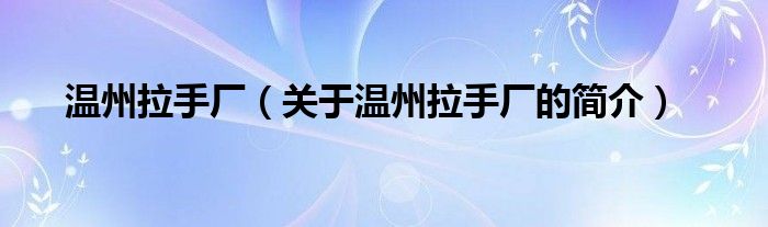 溫州拉手廠（關(guān)于溫州拉手廠的簡介）